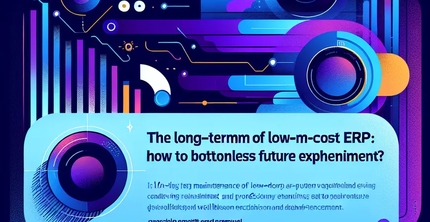 低成本 ERP 的长期维护：如何避免后期投入无底洞？